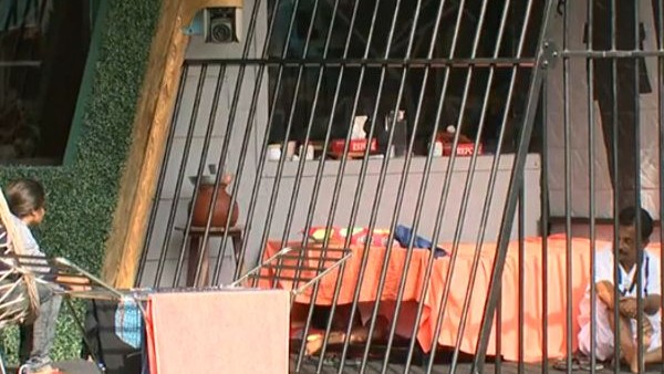 എന്ത് ചെയ്തു