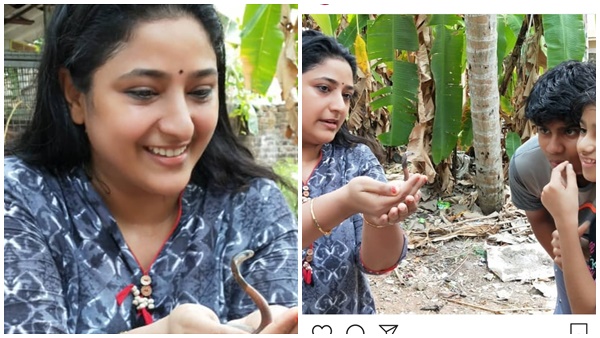 മമ്മൂട്ടി നായകനായ