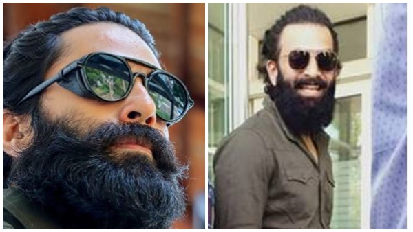 ഇതിന്റെ വീഡിയോ