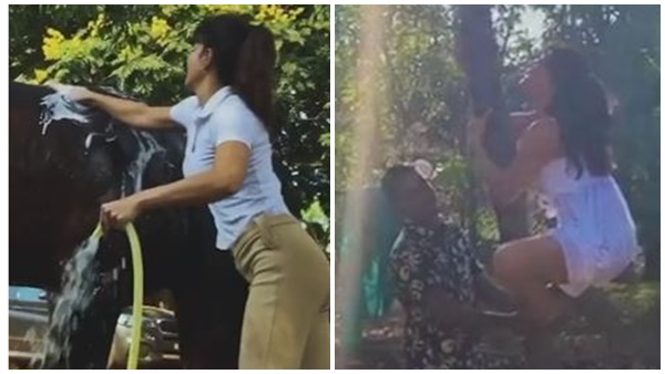 കുതിര സവാരി നടത്തുക