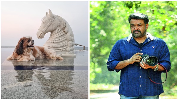  സന്തോഷ് ശിവന്റ ട്വീറ്റ്