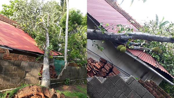 അമ്മയുടെ വാശി