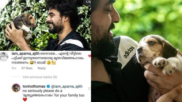 ഫ്ളഡ് സ്റ്റാര്‍ എന്ന വിളി