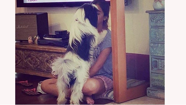 കളിയിലാണ്