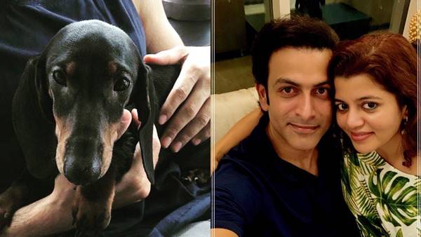 സോറോയുടെ പുതിയ ഫോട്ടോ