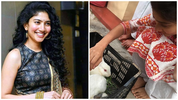   സായ് യുടെ വീട്ടിലെത്തിയവർ