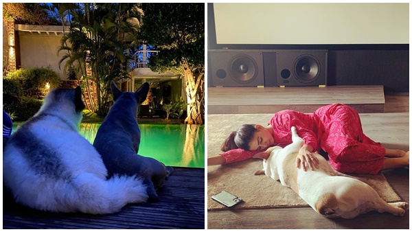   വീട്ടിലെ  അംഗങ്ങൾ