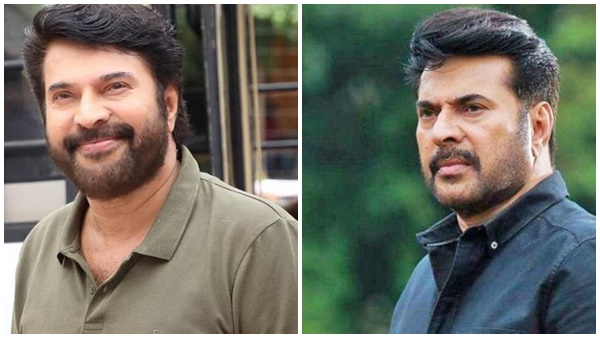  അന്യഭാഷ ചിത്രങ്ങൾ