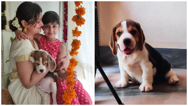 ഇവര്‍ക്ക് പുറമെ