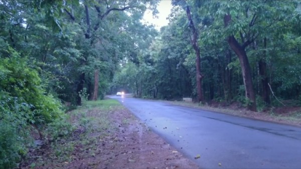 അവതരണ മികവില്‍ ശ്രദ്ധനേടി ഗ്രീന്‍ ഗ്രാസ്