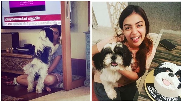 നസ്രിയയുടെ ഓറിയോയും