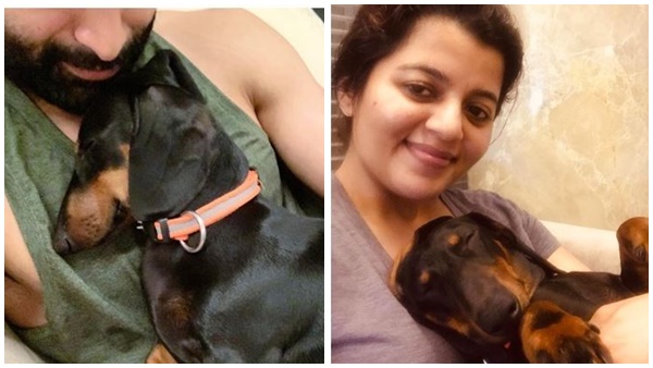 പൃഥ്വിരാജ്