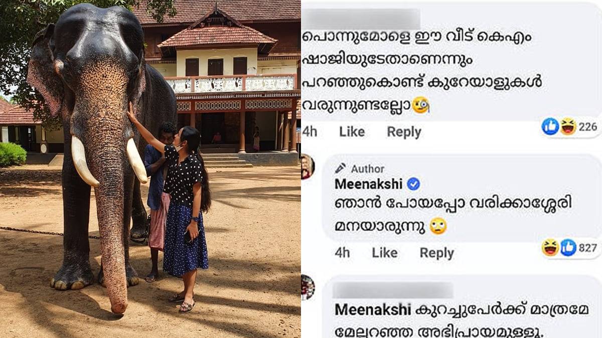 Meenakshi Meenakshi