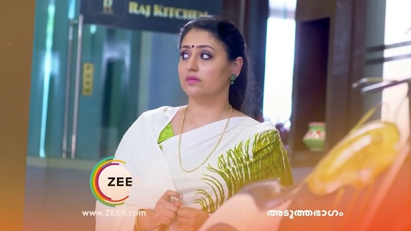 സീരിയലിനെ കുറിച്ച് മീര 