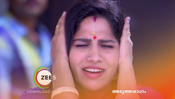 സീരിയലിനെ കുറിച്ച് മീര 