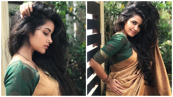 അതേസമയം അനുപമയുടെ