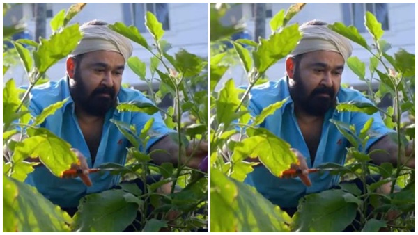  അടുക്കളത്തോട്ടം