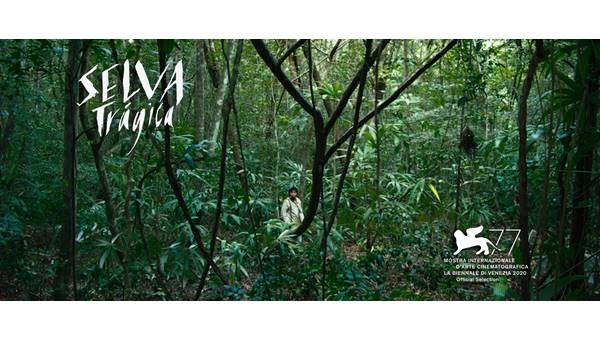 ട്രാജിക് ജംഗിൾ