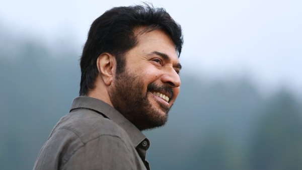 മമ്മൂട്ടിയുടെ സിനിമ