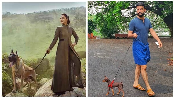 പിഷാരടിയെ ട്രോളി മഞ്ജു