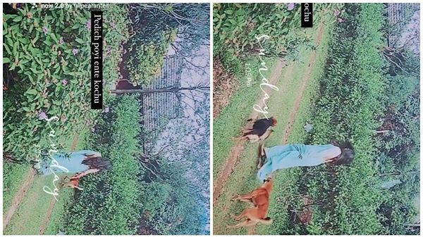 ഋതുവിന്റെ  വീഡിയോ