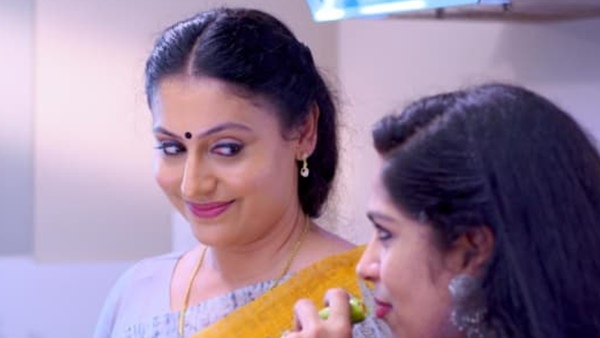  സീരിയലിലെ വിവാഹത്തെ കുറിച്ച് മീര 