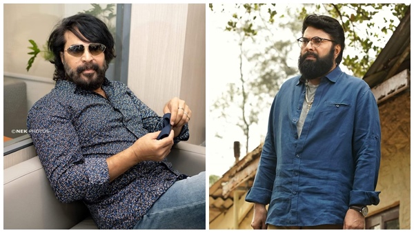  മമ്മൂട്ടിയുടെ പുത്തൻ ചിത്രം