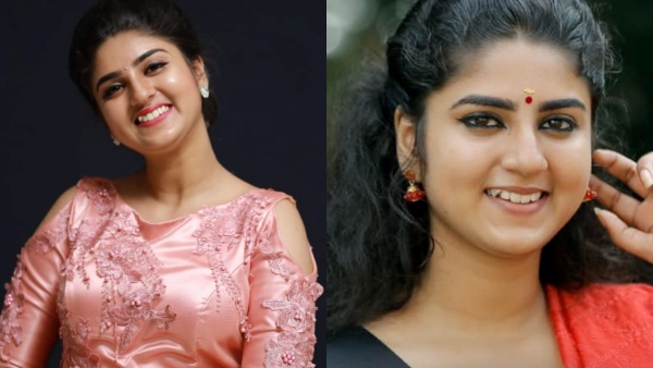 ആ സമയത്ത് പ്രണവിനോട് ഭയങ്കര ക്രഷ് തോന്നിയിരുന്നു