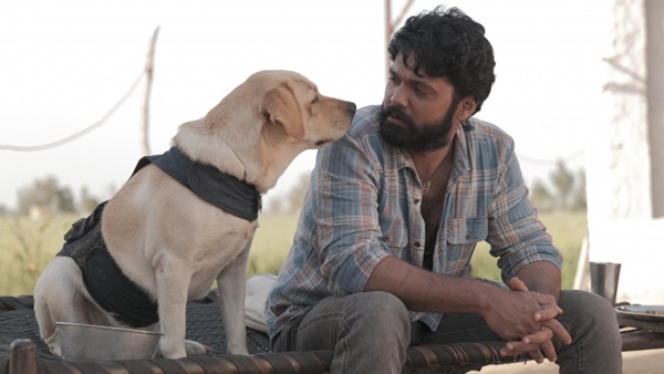 പ്രവചനീയമായൊരു കഥ