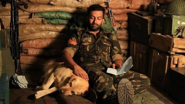  പിക്കറ്റ് 43