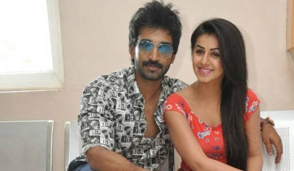 നടിയെ തേടി നിരവധി അവസരങ്ങളും വന്നു