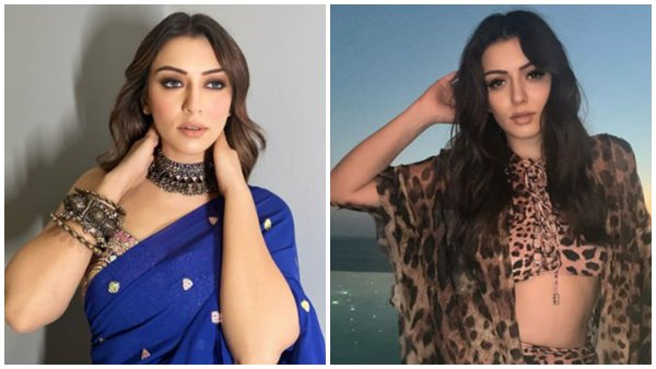  അധികം വരുന്ന ഭക്ഷണം ശേഖരിക്കാൻ ചെയ്യാൻ വേണ്ടിയാണ് ഹൻസികയെ ഇവർ‌ സമീപിച്ചത്