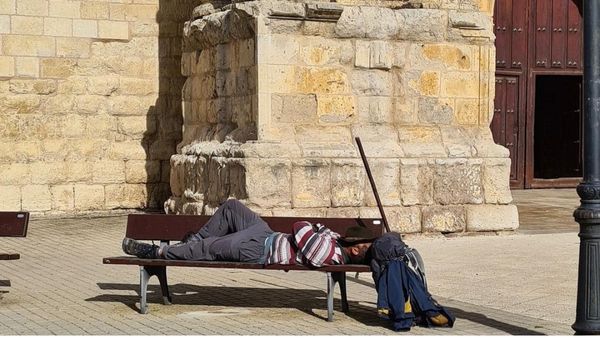 പ്രണവിന് സമീപം ബാഗും നടക്കാൻ ഉപയോഗിക്കുന്ന വടിയുമെല്ലാം കാണാം