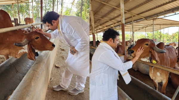 ഒരുപാട് കഴിവുള്ളവരാണ് ട്രോളുകൾ സൃഷ്ടിക്കുന്നത്