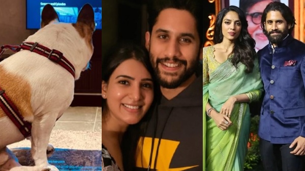 Naga Chaitanya   Samantha  Sobhita Dhulipala