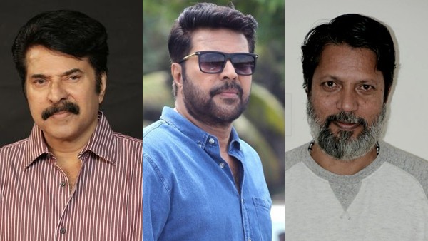 Mammootty  Robin Thirumala