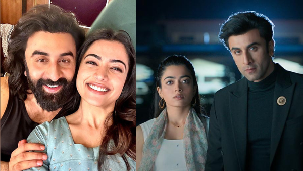 Rashmika and Ranbir Kapoor in Animal