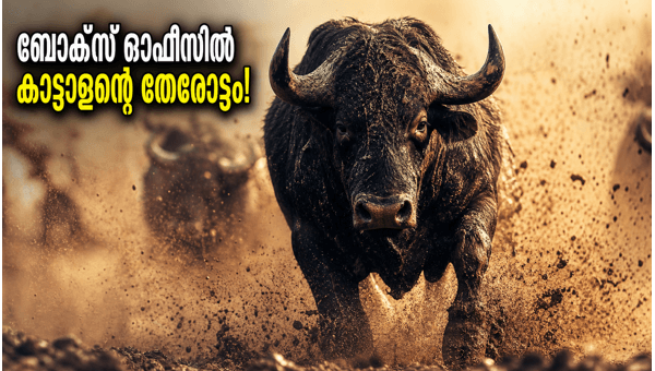 Kaattalan Box Office Collection  Antony Varghese s Action Thriller Takes a Massive Opening in Kerala