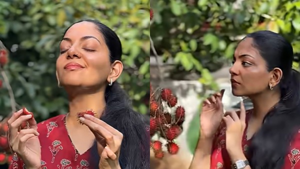 Ahaana Krishna Ahaana Krishna