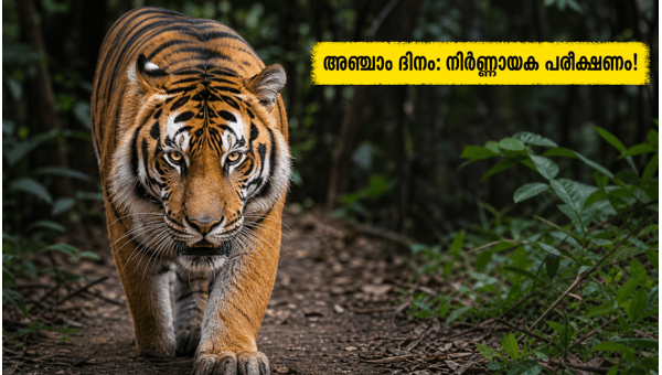 Welcome To The Jungle Box Office Day 5  Critical Test and Metro Occupancy Trends 2026