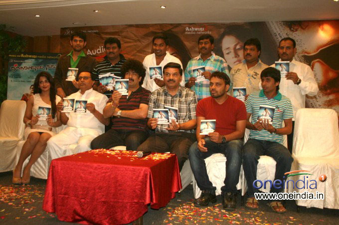 Govindaya Namaha Audio Launch
