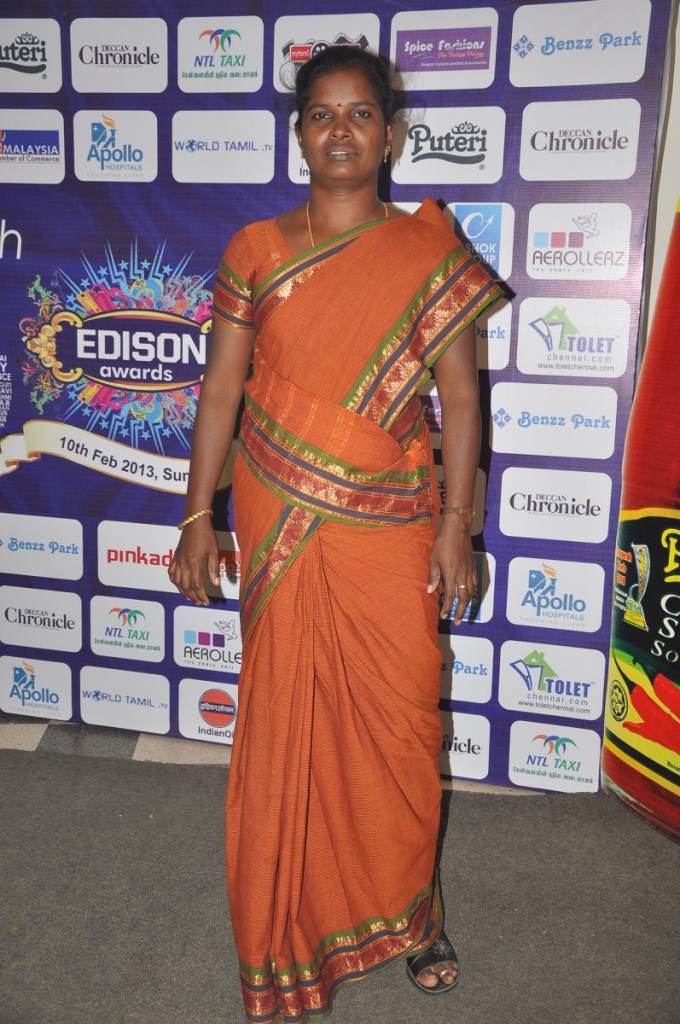 6th Edition of Edison Awards 2013