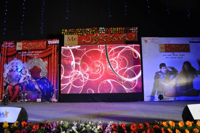 Mr. Pellikoduku Audio Launch
