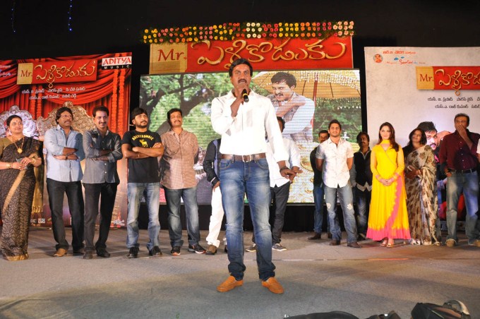 Mr. Pellikoduku Audio Launch