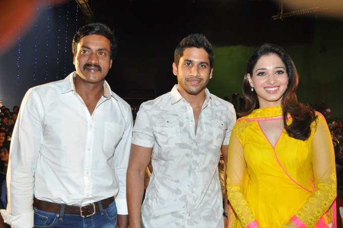 Mr. Pellikoduku Audio Launch