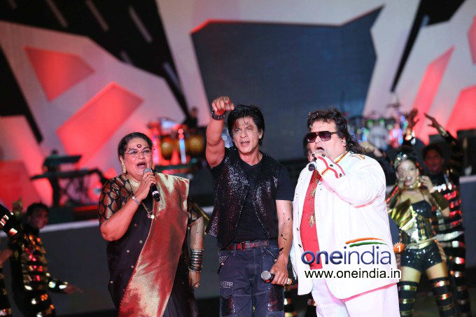 IPL 6 opening ceremony