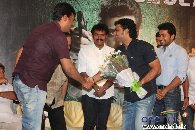 Singam 2 Movie Grand Success Meet
