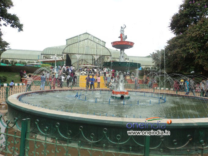 Lalbagh Flower Show 2013