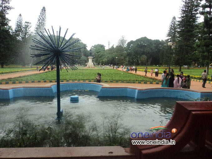 Lalbagh Flower Show 2013