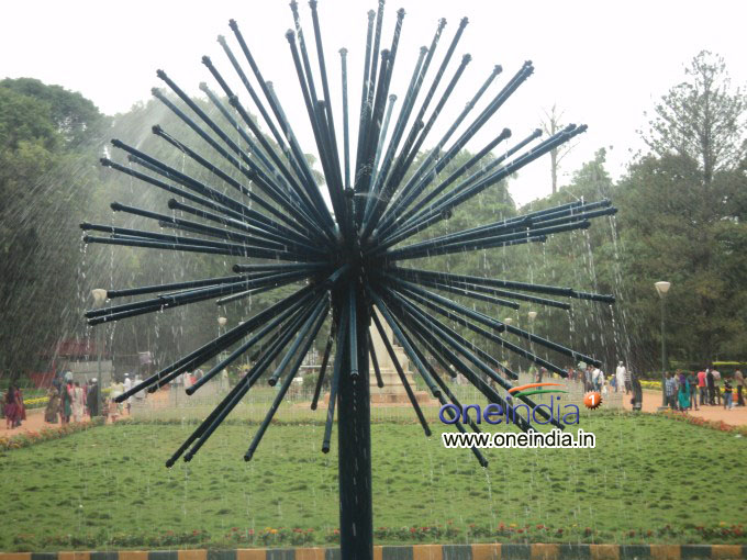 Lalbagh Flower Show 2013